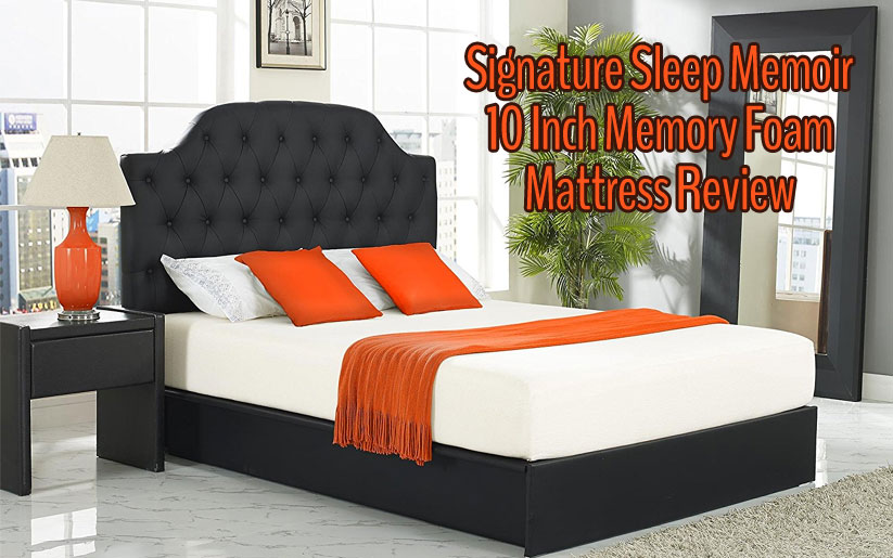 Signature Sleep Memoir Review