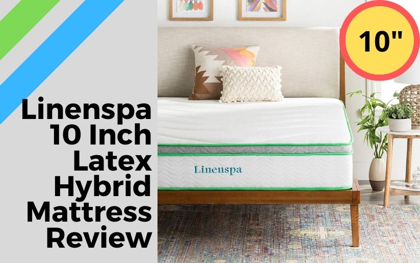 Linenspa 10 Inch Latex Hybrid Mattress Review